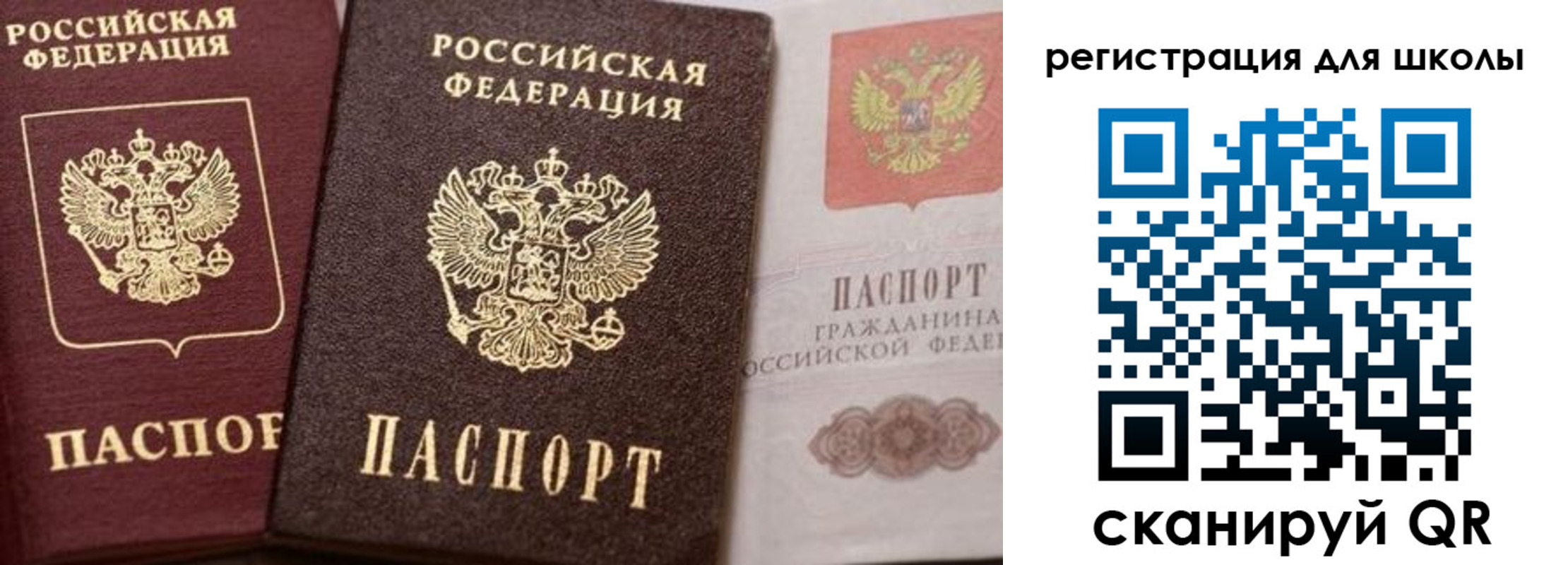 прописка штамп в Купино